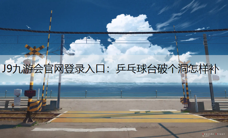 J9九游会官网登录入口：乒乓球台破个洞怎样补