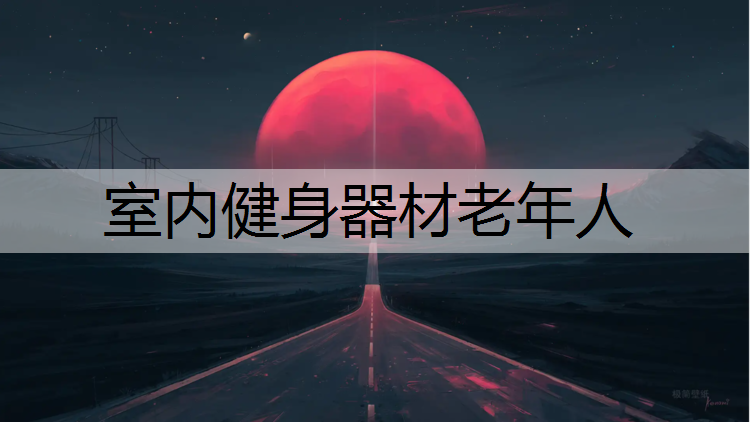 室内健身器材老年人