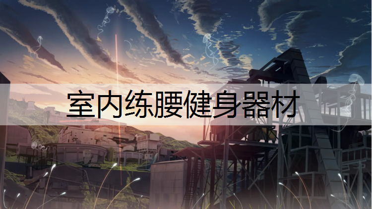 室内练腰健身器材