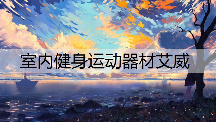 室内健身运动器材艾威