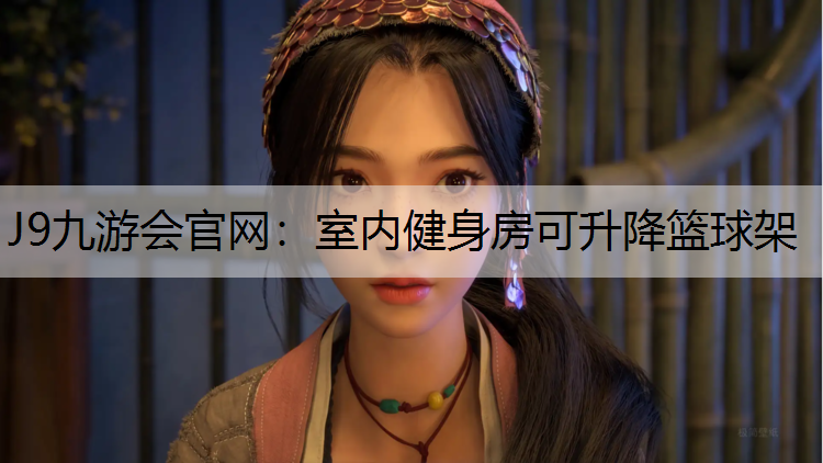 室内健身房可升降篮球架
