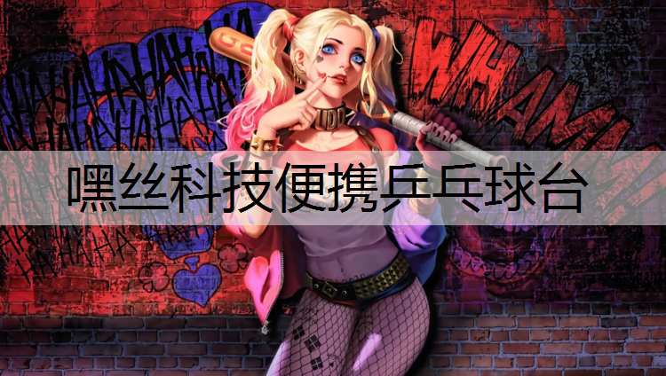 嘿丝科技便携乒乓球台