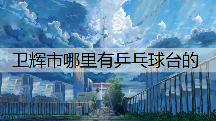 卫辉市哪里有乒乓球台的